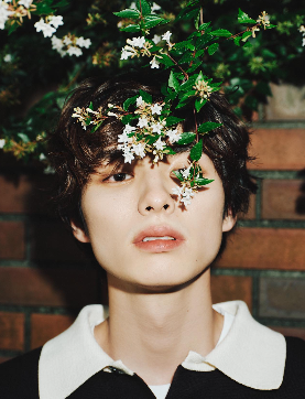 本田響矢の画像