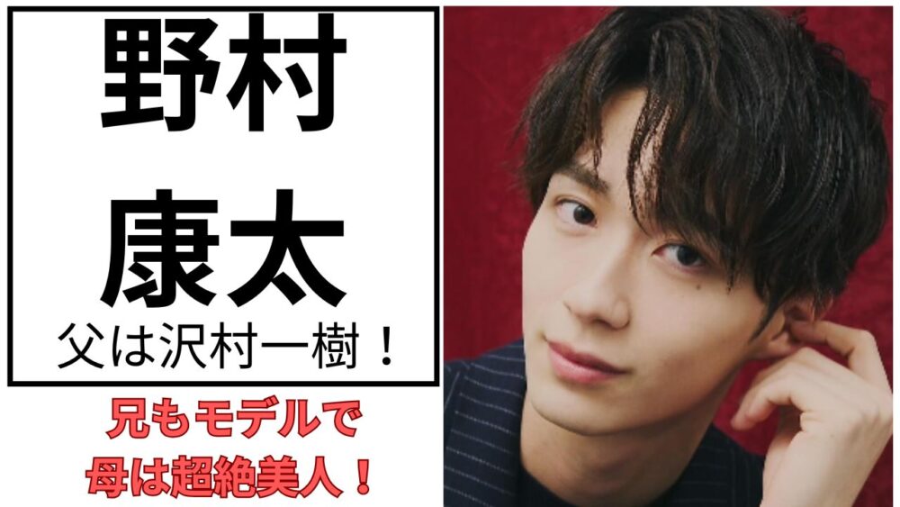 野村康太のアイキャッチ画像