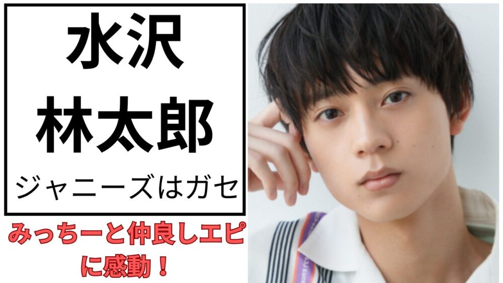 水沢林太郎のアイキャッチ画像