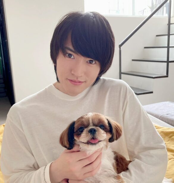 和田雅成の画像