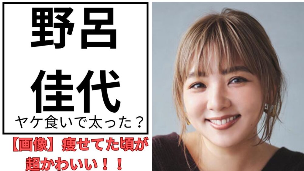 野呂佳代のアイキャッチ画像