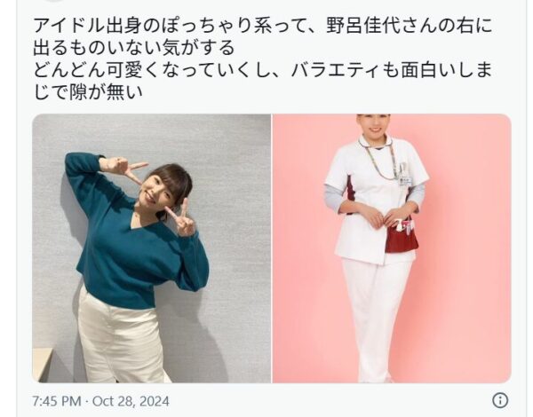 野呂佳代のぽっちゃりを絶賛しているXの投稿画像