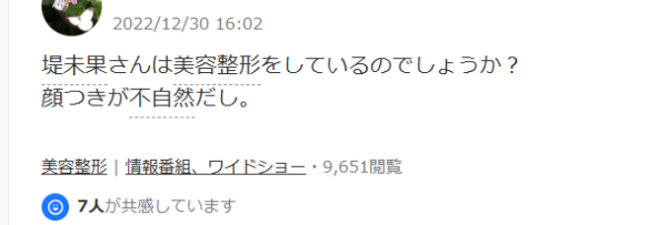 2022年12月Yahoo！知恵袋に、堤未果は整形したのでしょうかという質問をした投稿画像