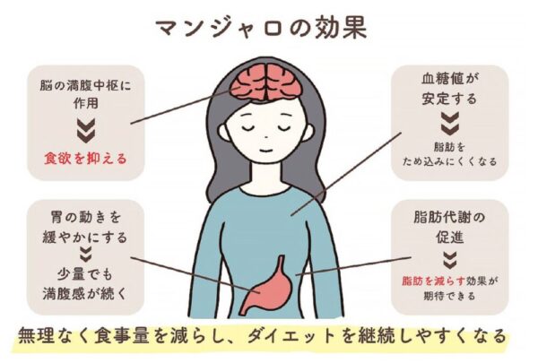 新宿クリニックから引用したマンジャロ効果を分かりやすく図であらわした画像